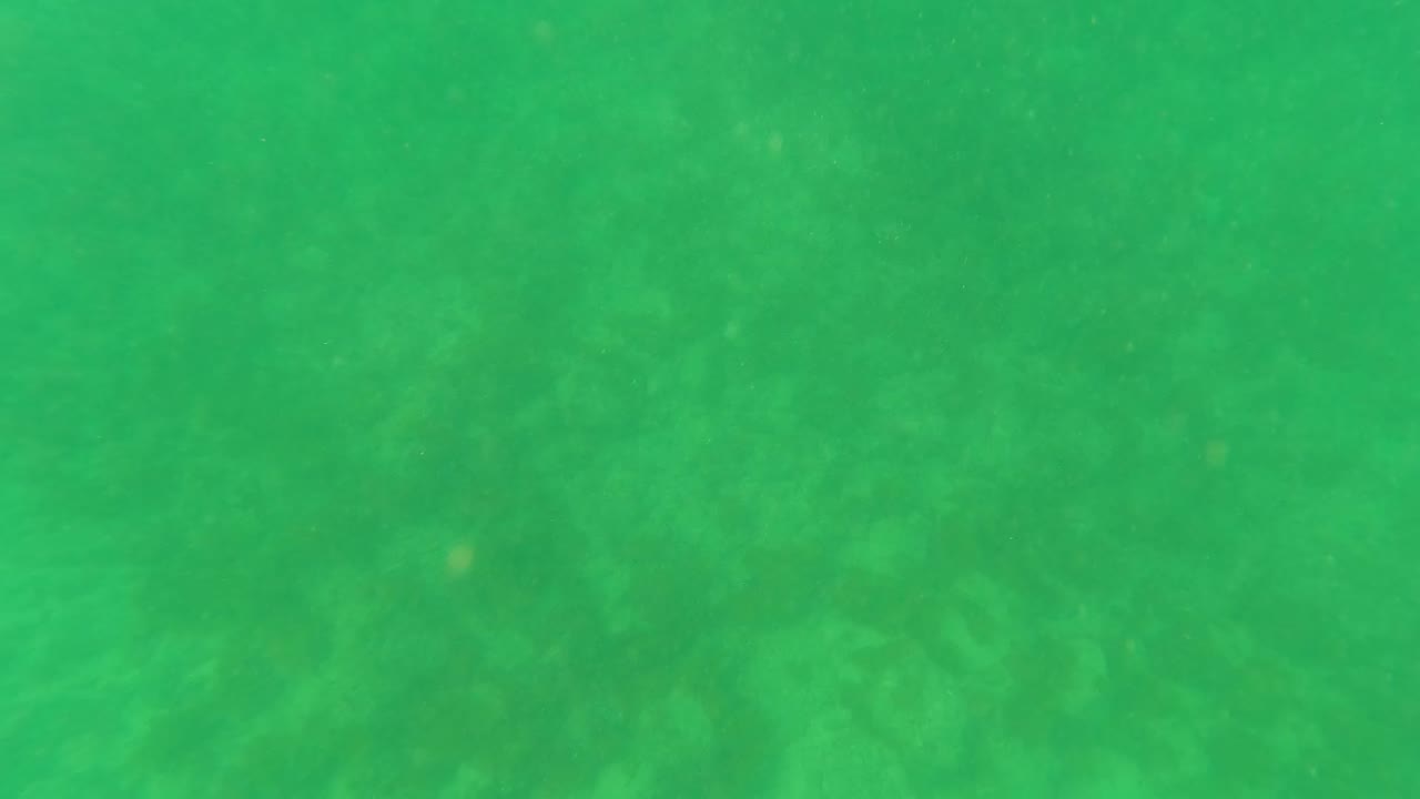 Mid-clip underwater frame from Los Barriles, Baja California Sur, showing faint marine vegetation patches across the sandy bottom and no visible people.