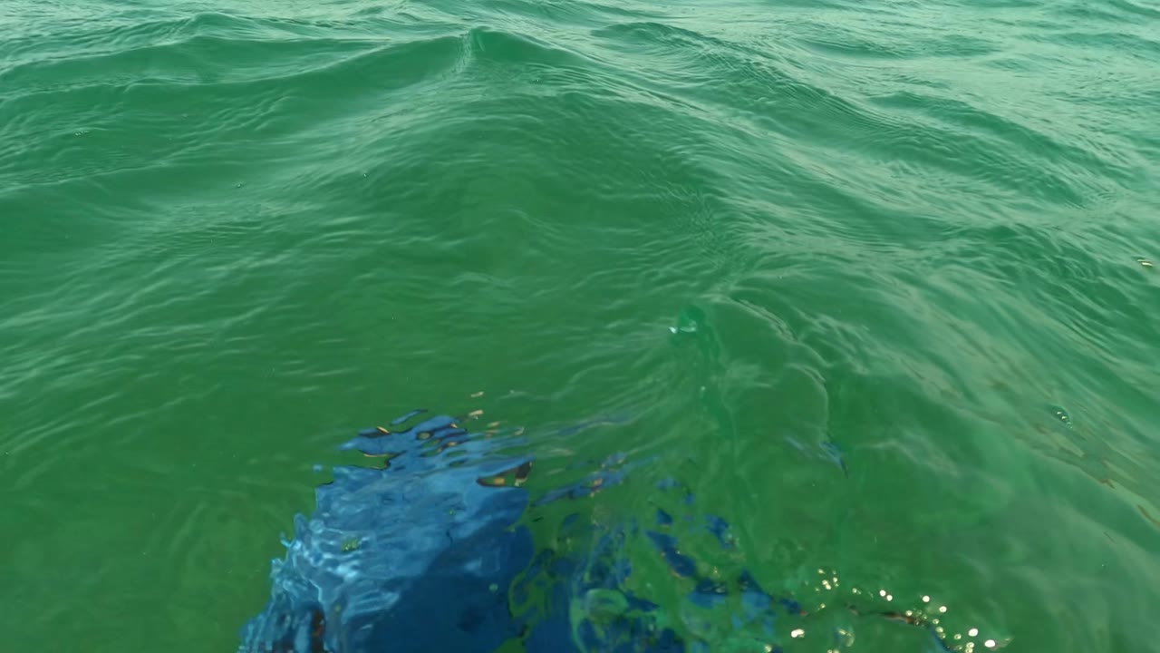 Water-level frame in Los Barriles with textured green surface ripples, a dark blue shape near the camera at the bottom edge, and no visible people.