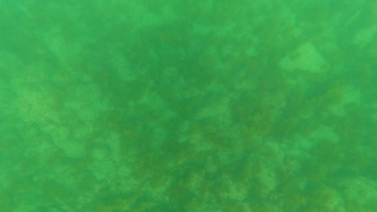 Early underwater frame in Los Barriles showing clear green water with faint seabed shapes below and no visible people.
