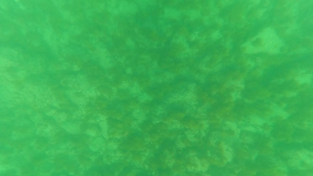 Downward underwater view in Los Barriles with patchy rocks or coral on the seabed softened by green-blue water and no visible people.