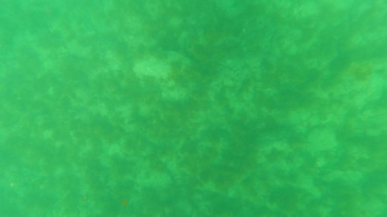 Opening frame of green-tinted underwater sandy seabed in Los Barriles, Baja California Sur, with mottled light and no visible people.
