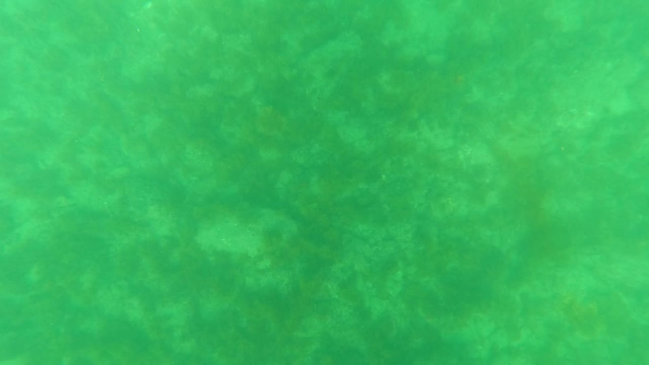 Early frame showing pale sandy ocean floor under green water in Los Barriles, Baja California Sur, with soft darker patches and no visible people.