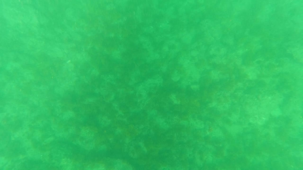 Mid-early frame of mottled underwater sand in Los Barriles, Baja California Sur, with a consistent green cast and no visible people.