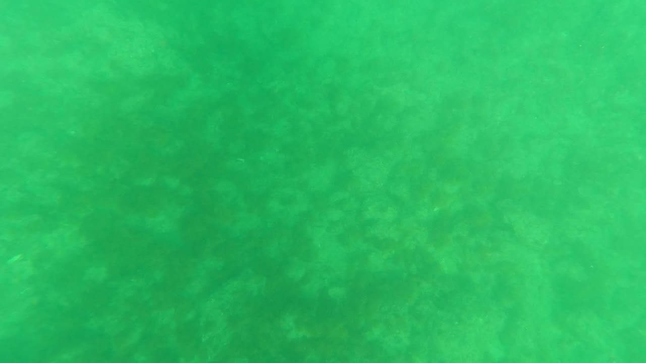 Sandy seabed seen through green underwater haze
