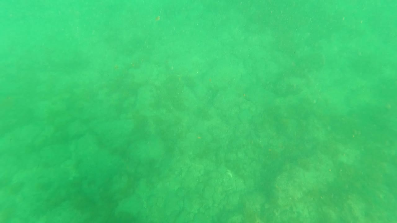 Green underwater view of seabed with faint coral and sand texture.