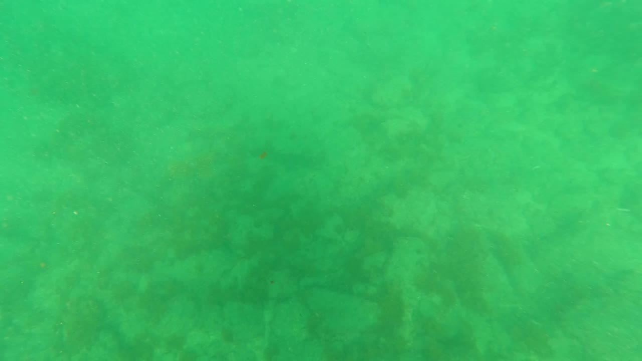 At 0:01, the frame holds on green clear water above a mottled sandy and coral seabed in Los Barriles, Baja California Sur, with no visible people.