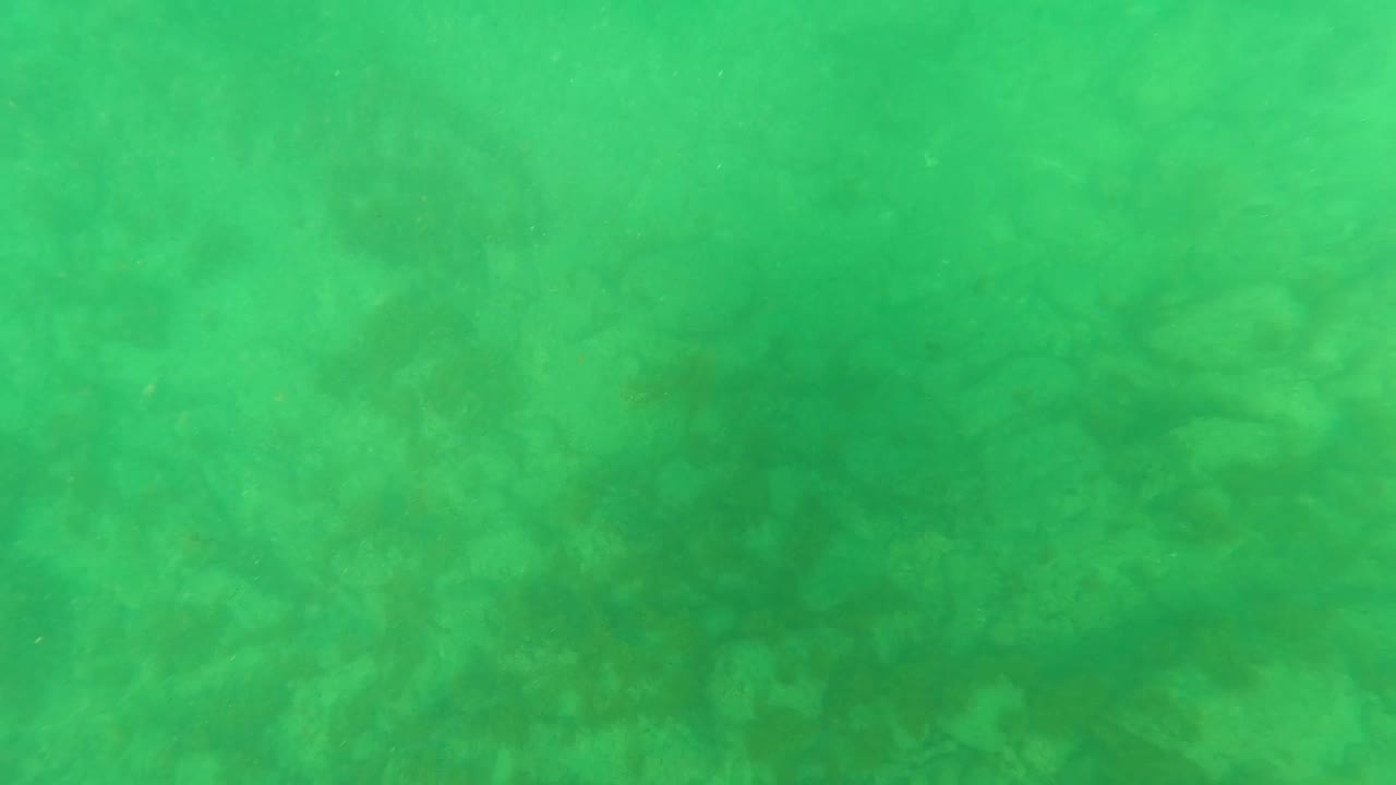 At 0:02, a pale textured ocean floor sits beneath green-tinted water in Los Barriles, Baja California Sur, with no visible people or objects above the seabed.