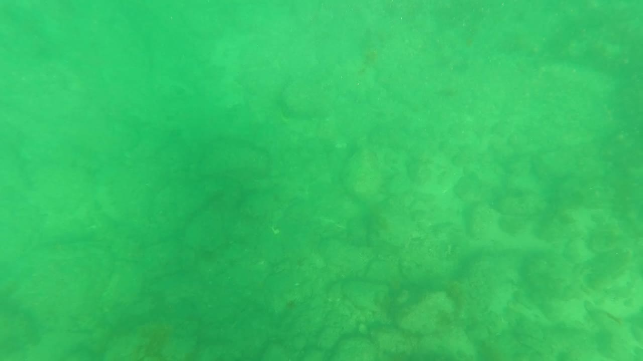 At 0:03, darker coral or rock patches appear through the green water over the seabed in Los Barriles, Baja California Sur, with no visible people.