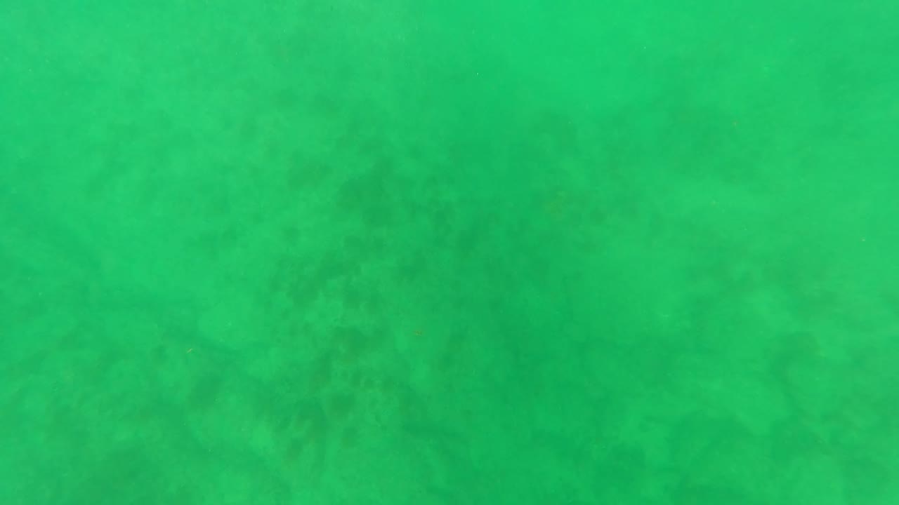 Green underwater seabed texture with cloudy water