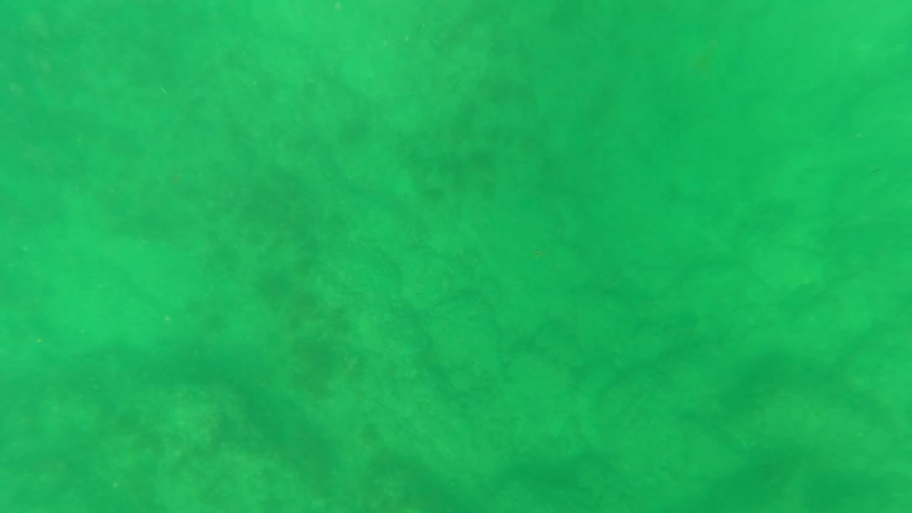 Green water covers a soft, uneven seabed pattern in Los Barriles, Baja California Sur, with no visible people or structures.