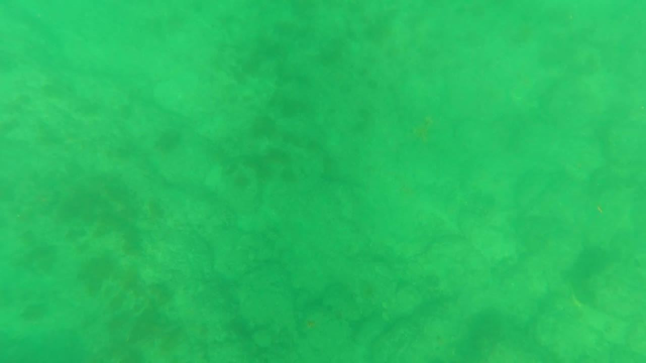 A mottled ocean floor fills the frame through green underwater haze in Los Barriles, with no visible people in the shot.