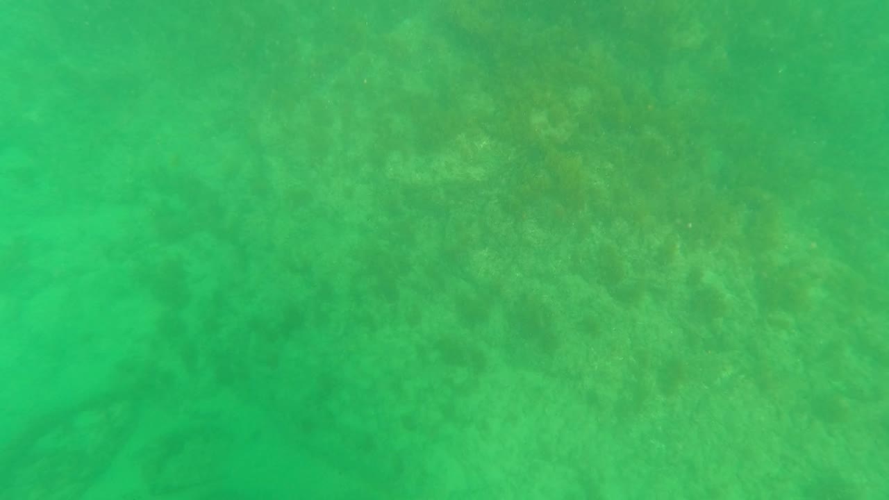 Murky green underwater view over sandy and rocky seabed