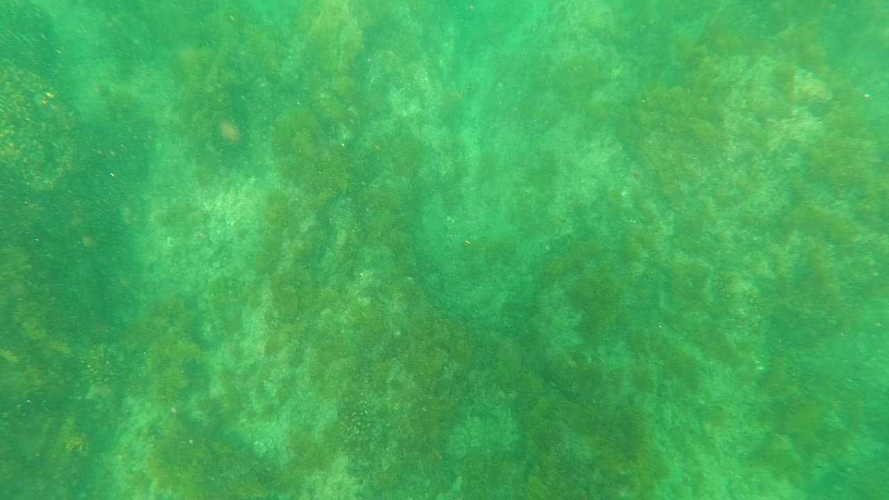 Second frame shows the Los Barriles ocean floor through green clear water, with mottled rocks, algae growth, and no visible people.