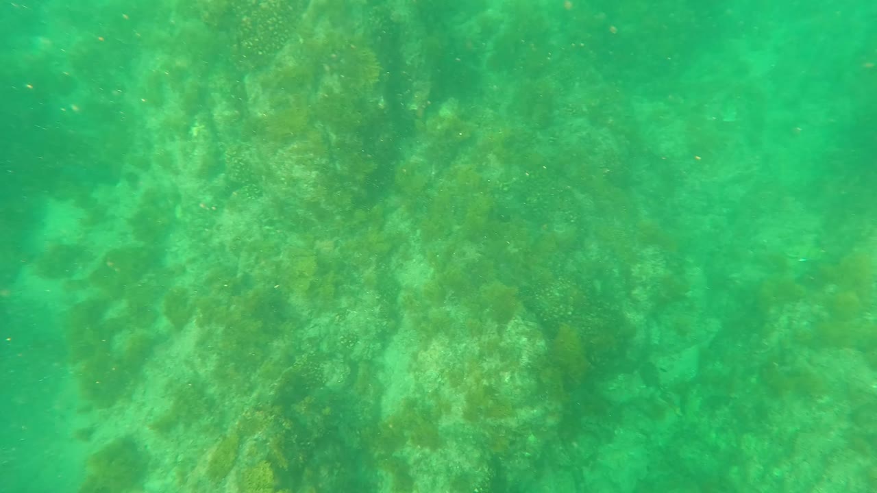 A closer underwater look at uneven rocks and algae in green-turquoise water near Los Barriles, Baja California Sur, with no visible people.