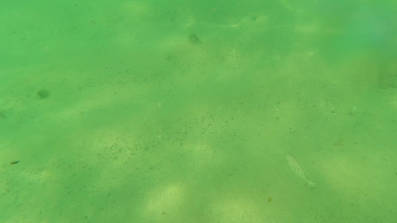 At the start of the Los Barriles underwater clip, blue and black diving gloves appear near the lower edge above green-tinted water, sand, faint rocks, and no visible people.