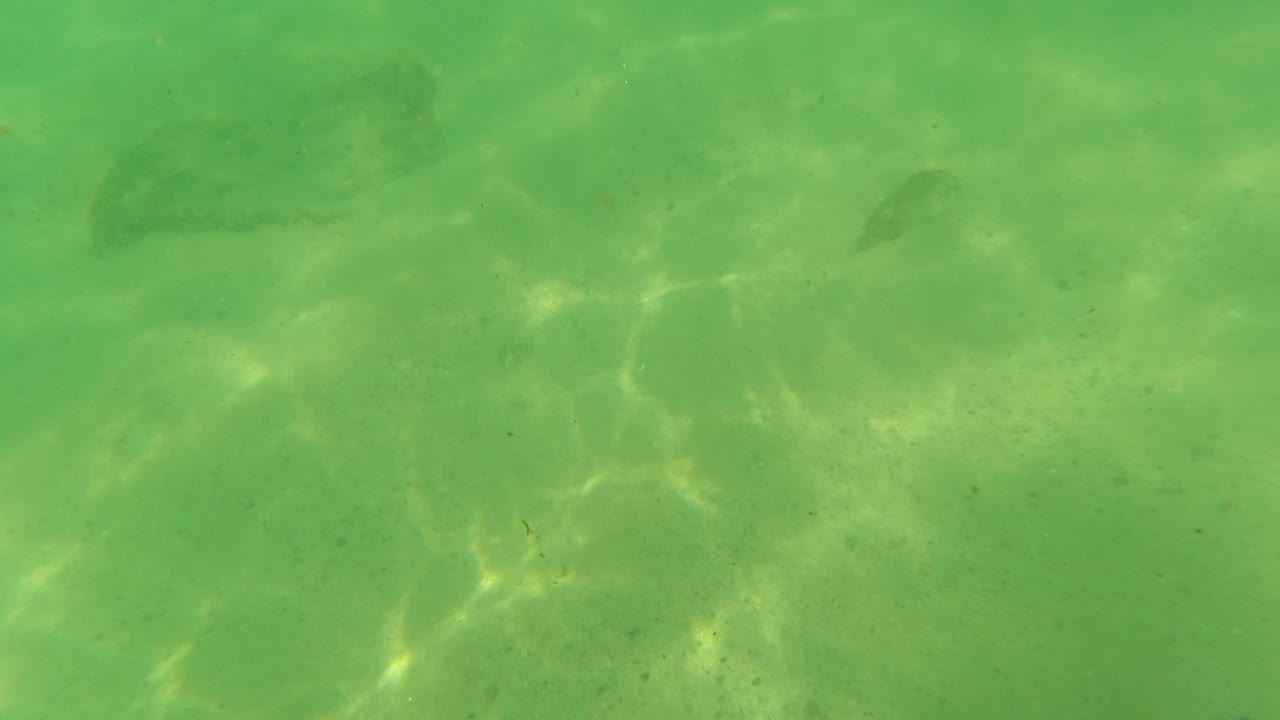 Green underwater view of sandy seabed with faint rocks and particles.