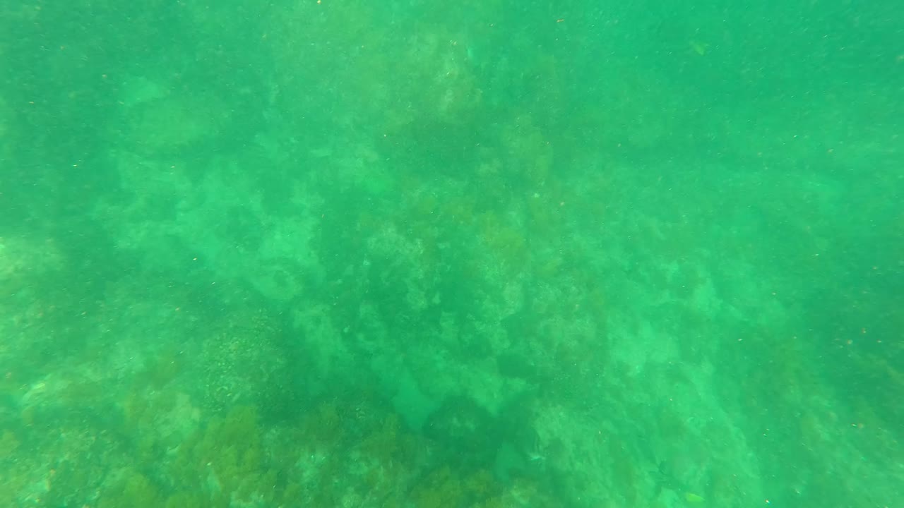 Green underwater frame from Los Barriles with the rocky seabed softened by water haze and no visible people.