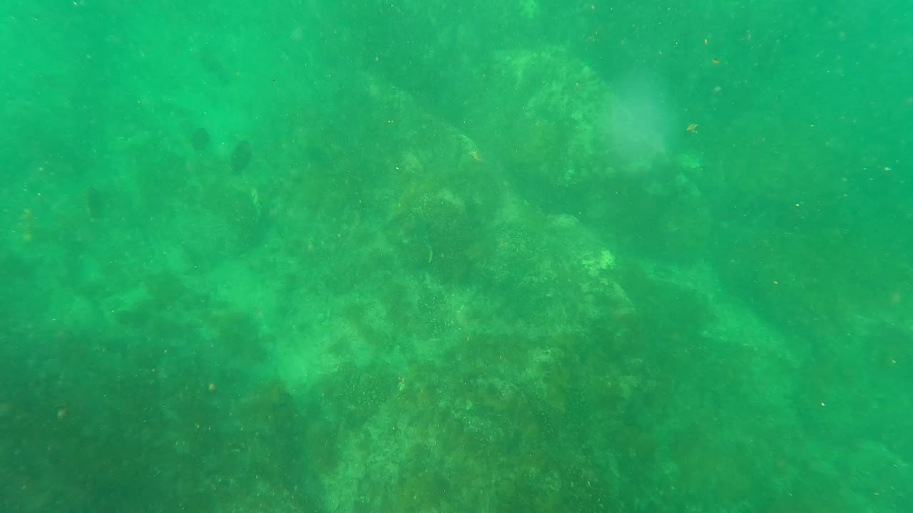 Green underwater view with faint rocks below the surface.