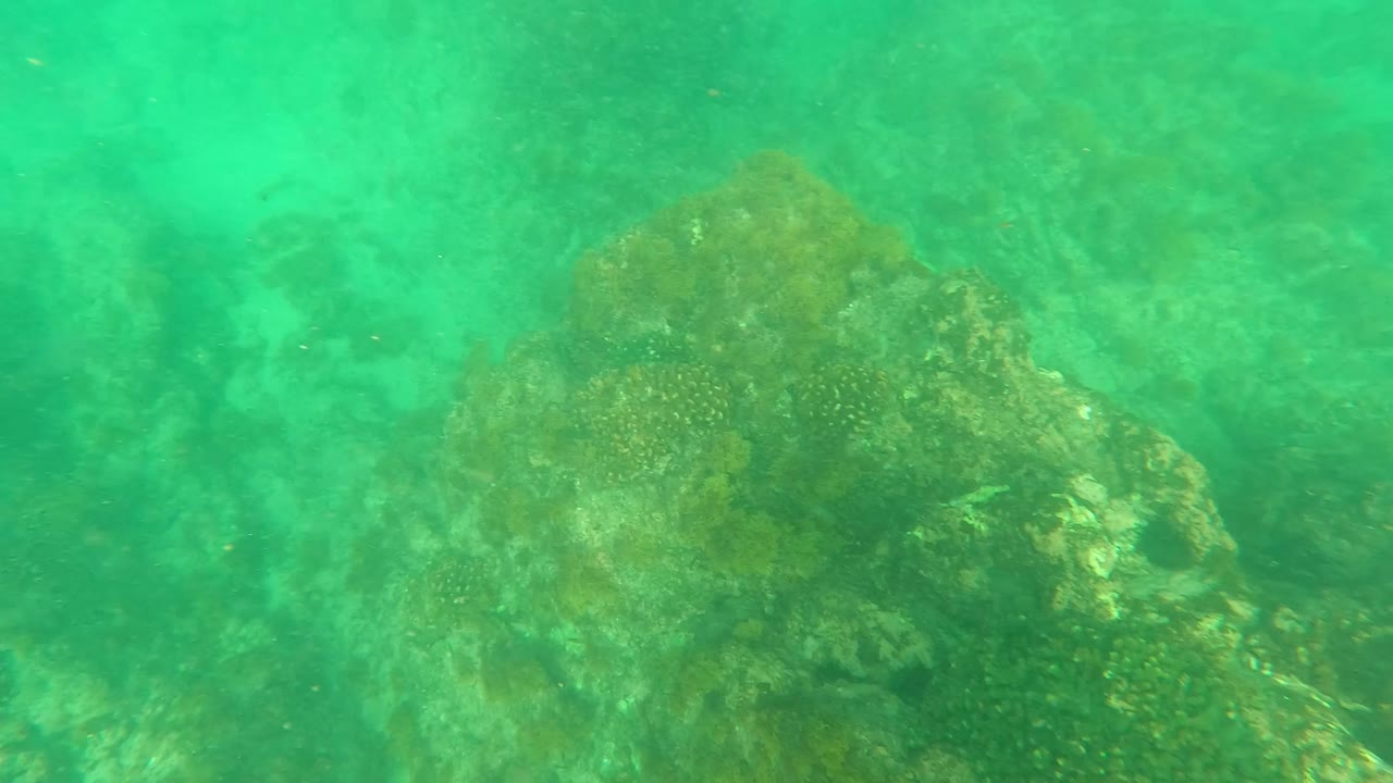 Second frame of the Los Barriles underwater reef, with a larger coral ridge centered in green-blue water and no visible people.