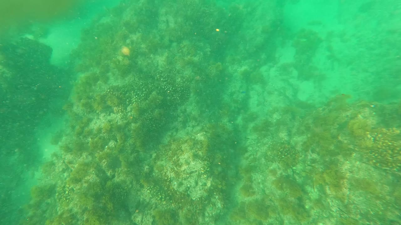 Mid-clip frame from Los Barriles showing algae-coated coral formations receding into hazy turquoise water with no visible people.
