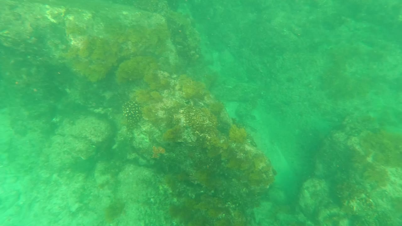 Later underwater frame from Los Barriles, Baja California Sur with a sandy gap between algae-covered rocks, soft green water, and no visible people.