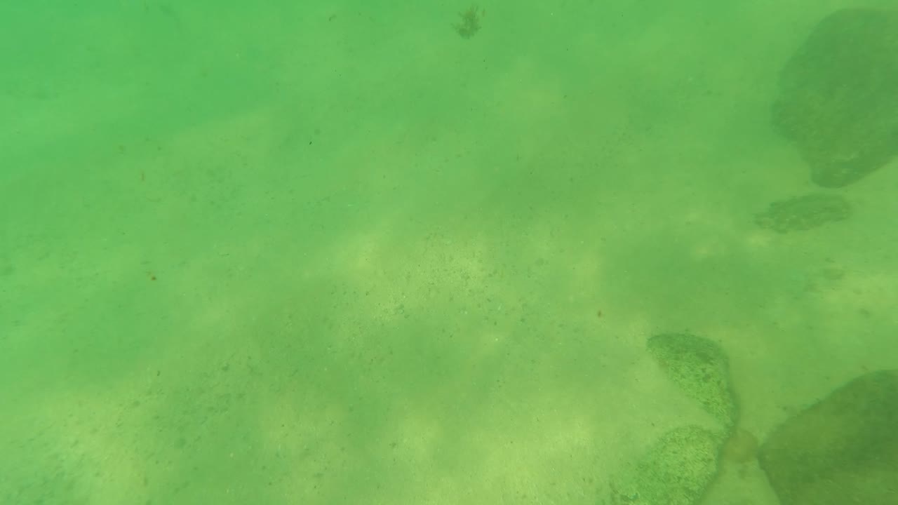 Green underwater view in Los Barriles, Baja California Sur, showing pale sandy seabed, scattered rocks, faint small fish, and no visible people.