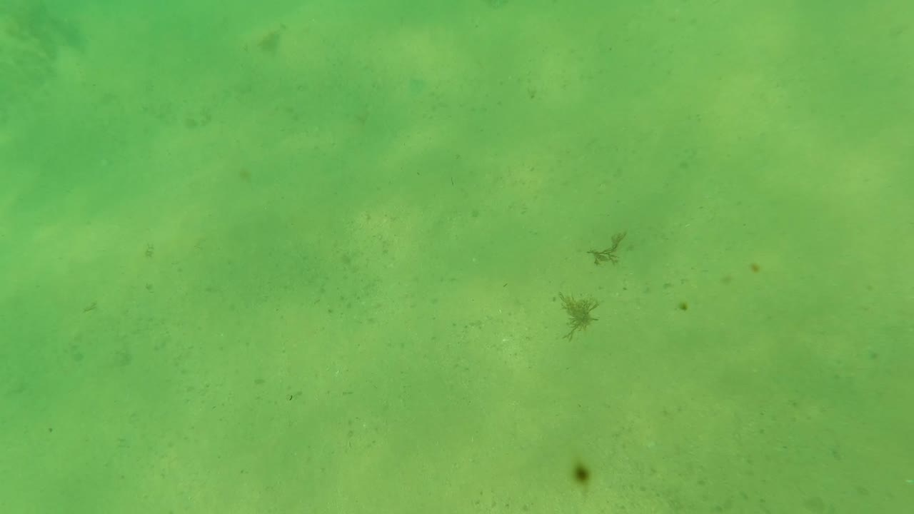 Second frame from Los Barriles, Baja California Sur, with green water over a sandy ocean floor, dark submerged rocks, faint fish shapes, and no visible people.