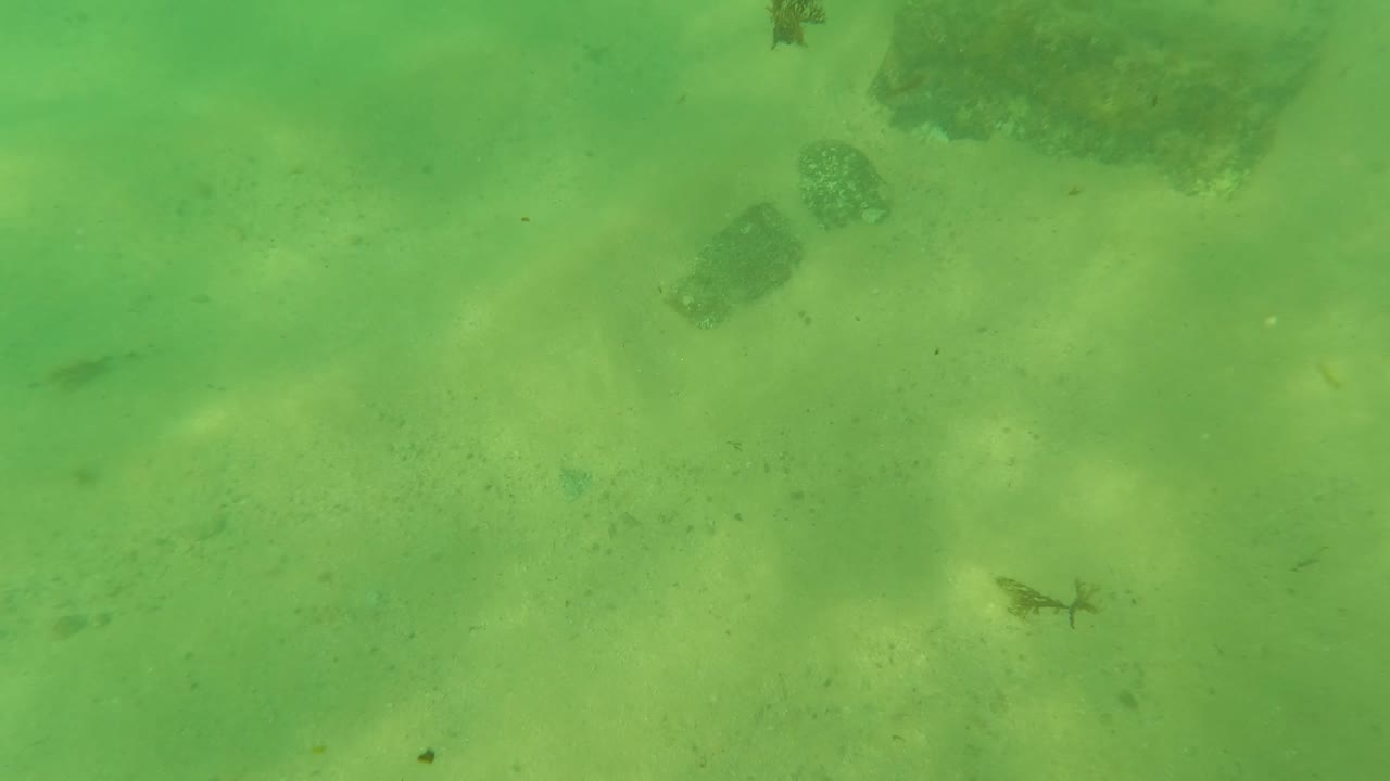 Mid-clip underwater frame in Los Barriles, Baja California Sur, showing sandy bottom, scattered rocks, small dark fish shapes, and no visible people.