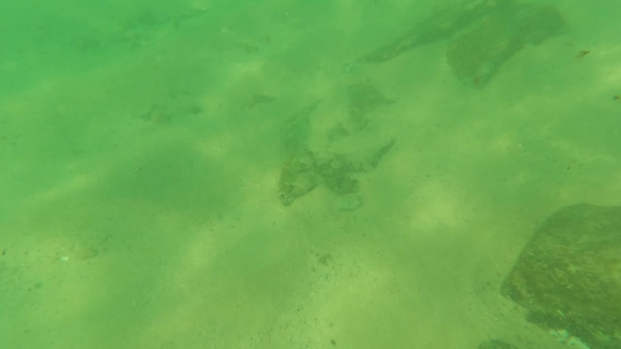 Murky green seabed with rocks, small fish, and soft underwater light.