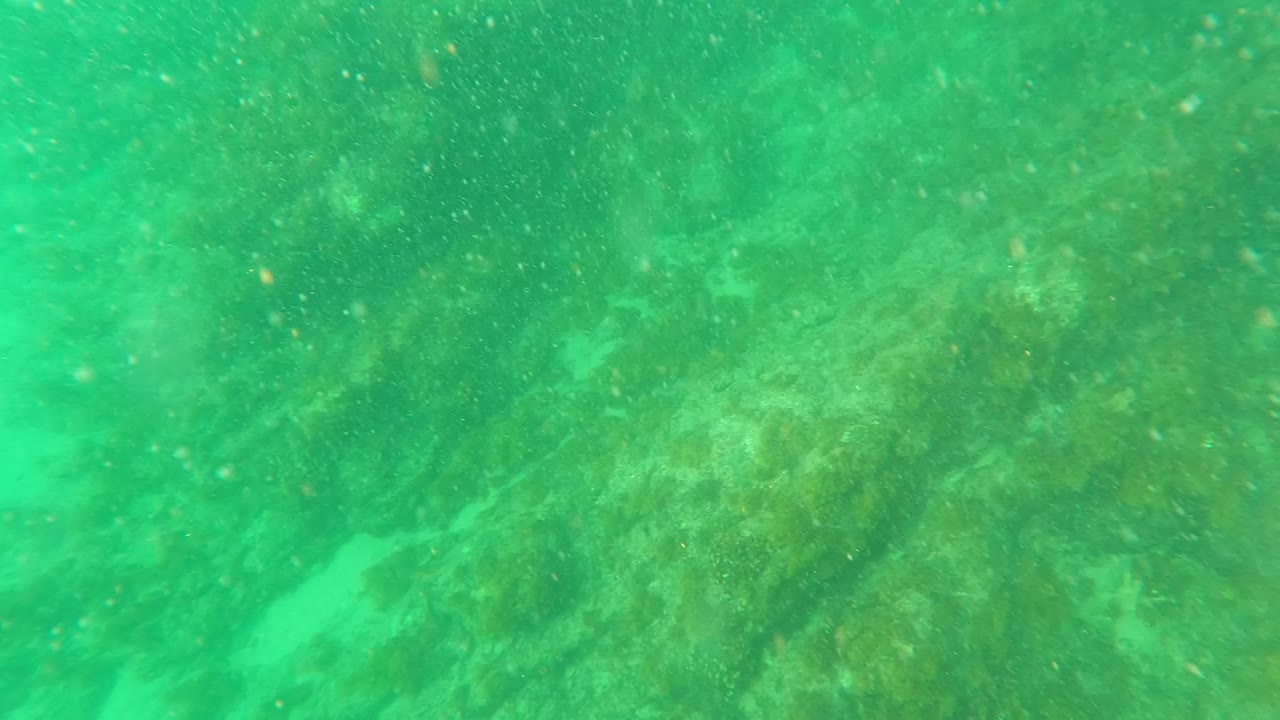 Second underwater frame from Los Barriles, Baja California Sur with mottled rocks, green algae, suspended particles, and no visible people.