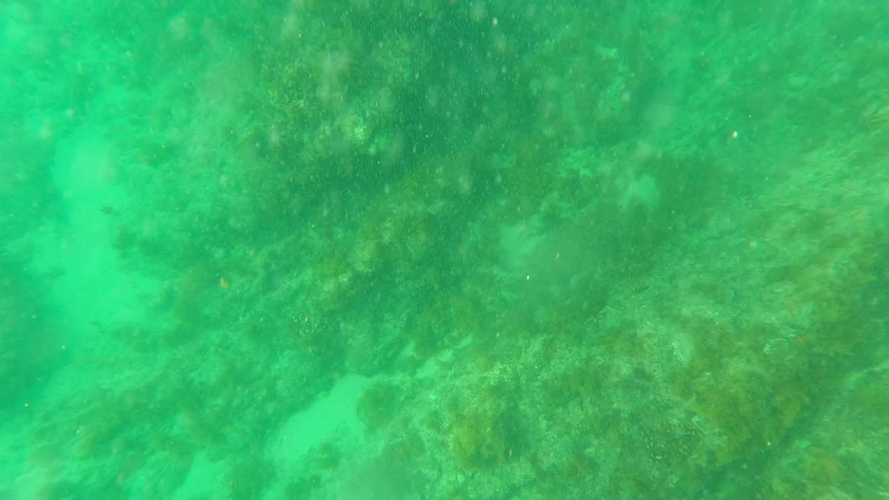 Third frame from the Los Barriles underwater clip showing uneven algae-coated rocks under green water, with no visible people or marine life.