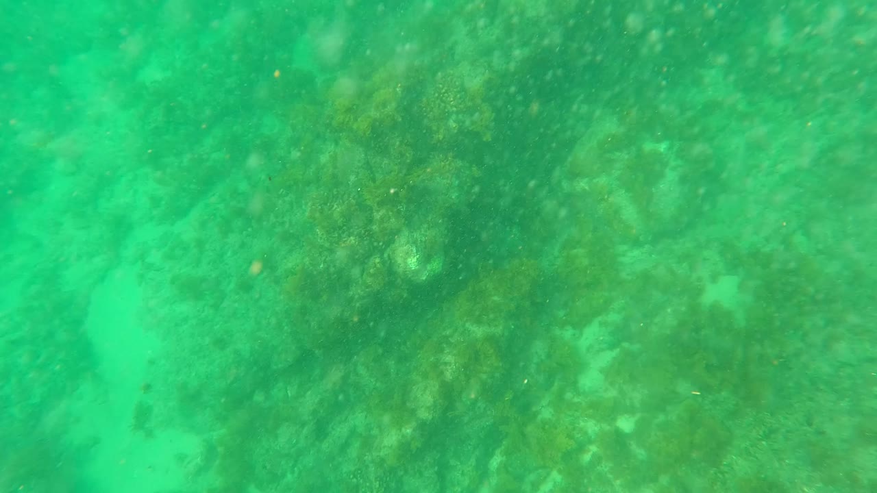 Fourth frame from Los Barriles, Baja California Sur showing algae-covered rocks beside a lighter sandy channel, with no visible people.