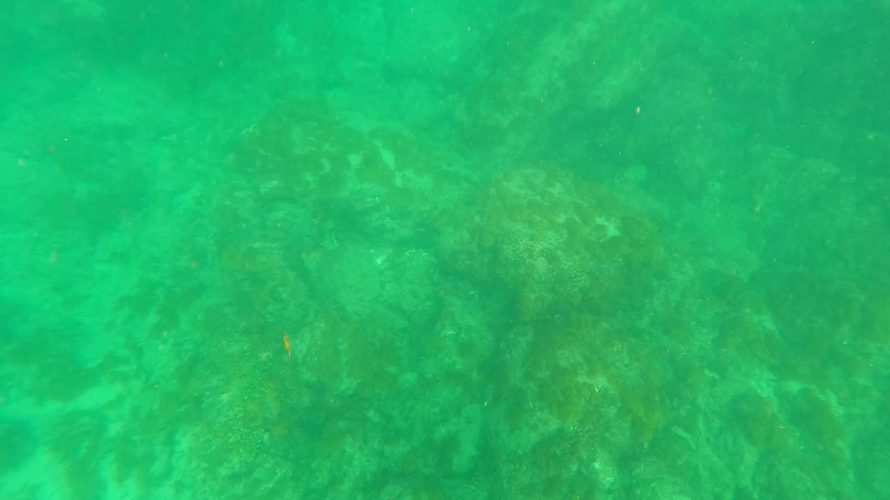 Clear green underwater frame over rocky seabed in Los Barriles, with faint small fish shapes and no visible people.