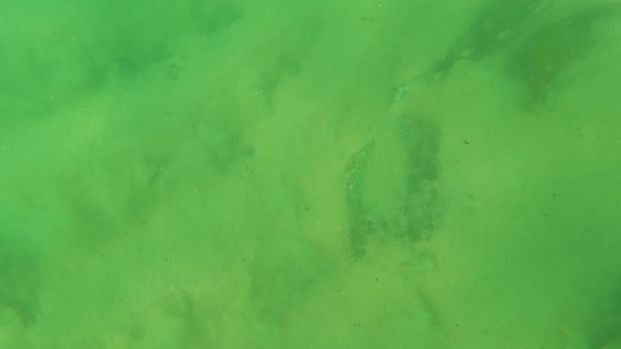 Green underwater sandy seabed with scattered dark rocks and debris.