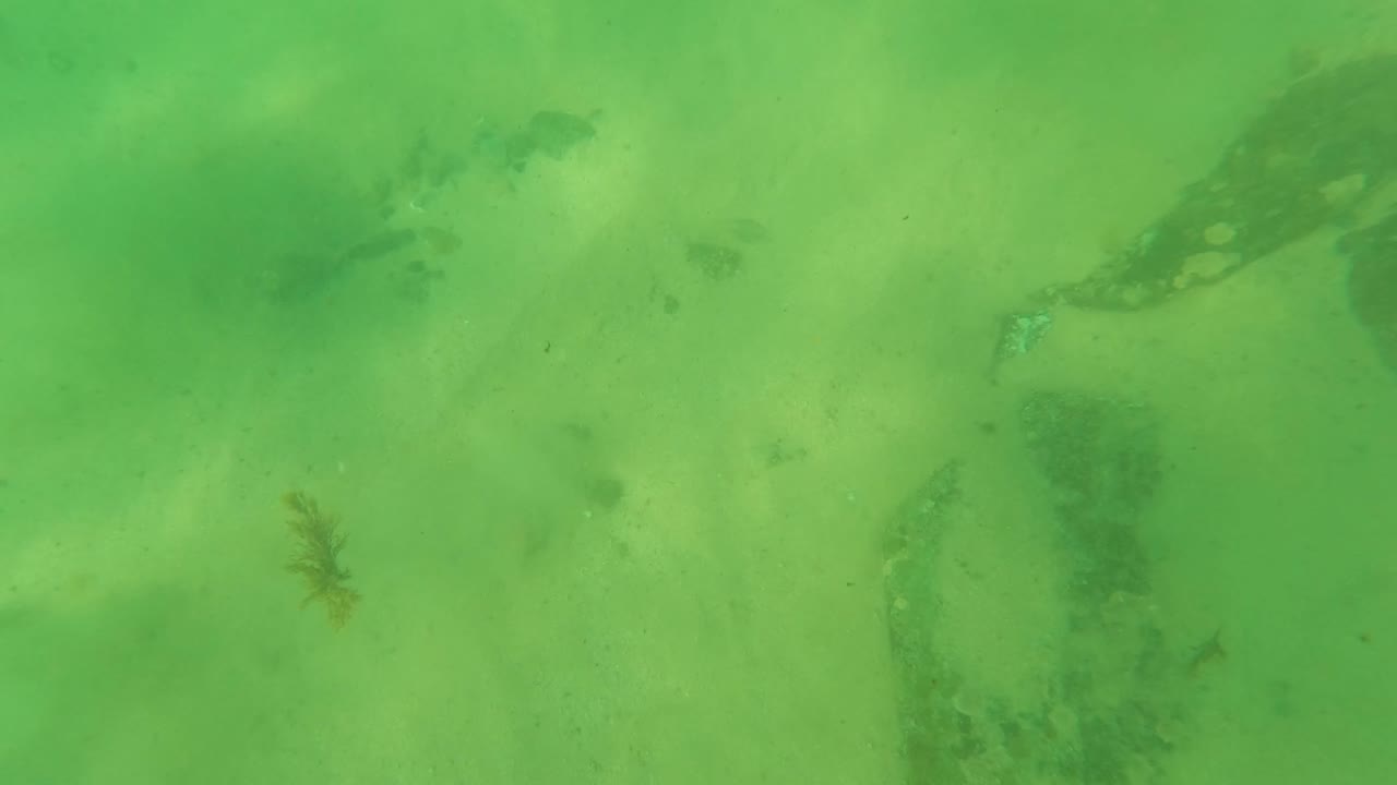 Third underwater frame in Los Barriles, Baja California Sur, Mexico, showing a sandy floor, scattered rocks, debris, and a small dark fish shape in green water, no visible people.