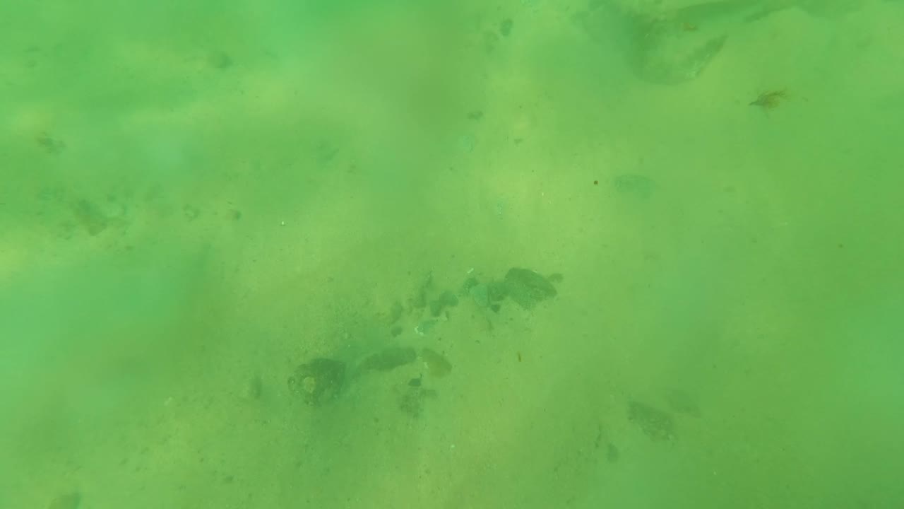 Fourth underwater frame in Los Barriles, Baja California Sur, Mexico, with murky green water softening the sandy seabed, faint rocks, and scattered debris, no visible people.