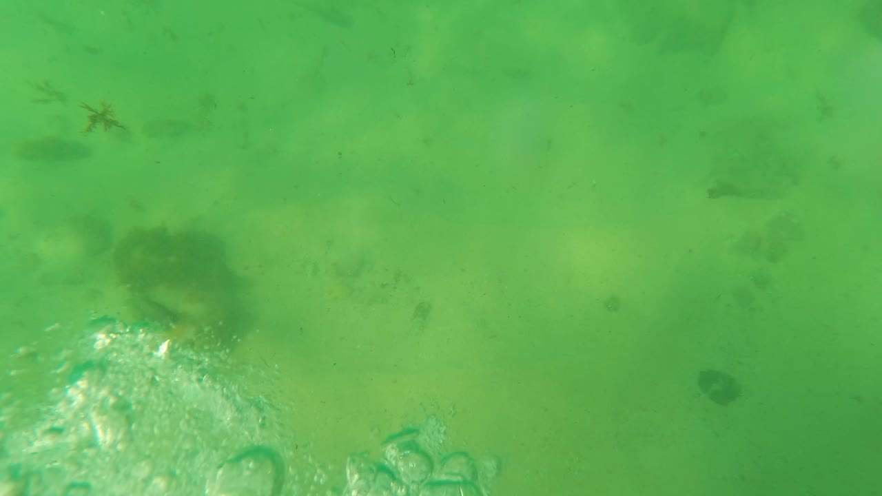 Green underwater view in Los Barriles, Baja California Sur, showing sandy bottom, scattered rocks, a small red star-shaped form, and no visible people.
