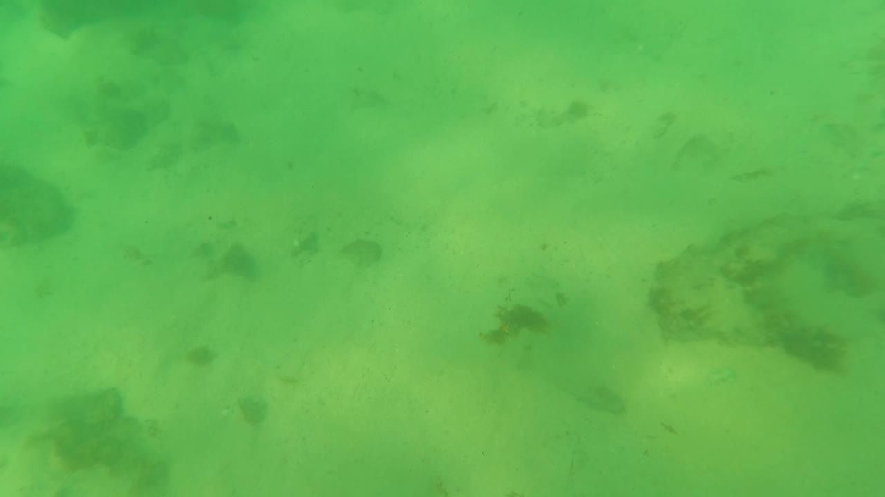 Green underwater view in Los Barriles, Baja California Sur, Mexico, showing sandy seabed, scattered rocks, faint marine growth, and no visible people.