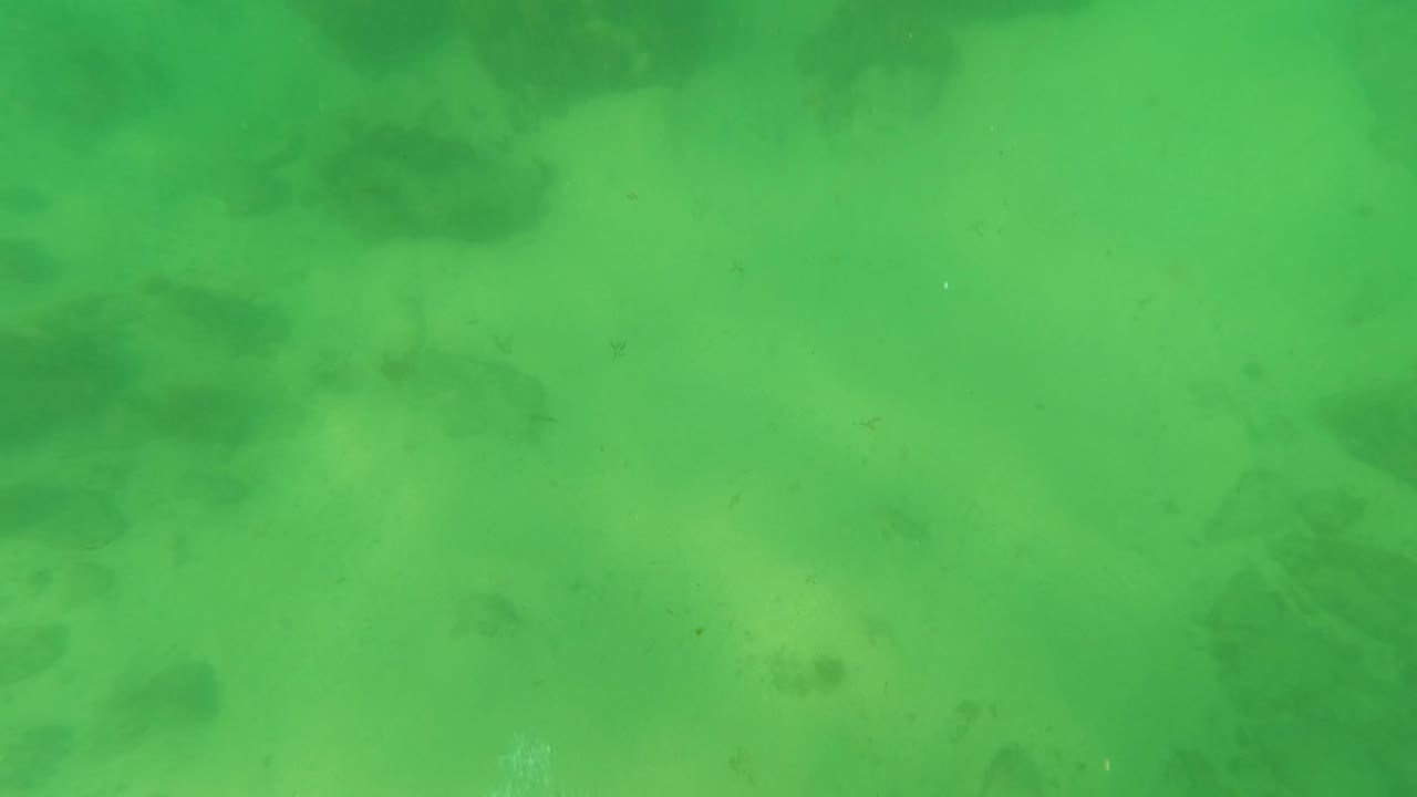 Underwater frame from Los Barriles with pale sand, larger dark rocks near the upper edge, soft green water, and no visible people.