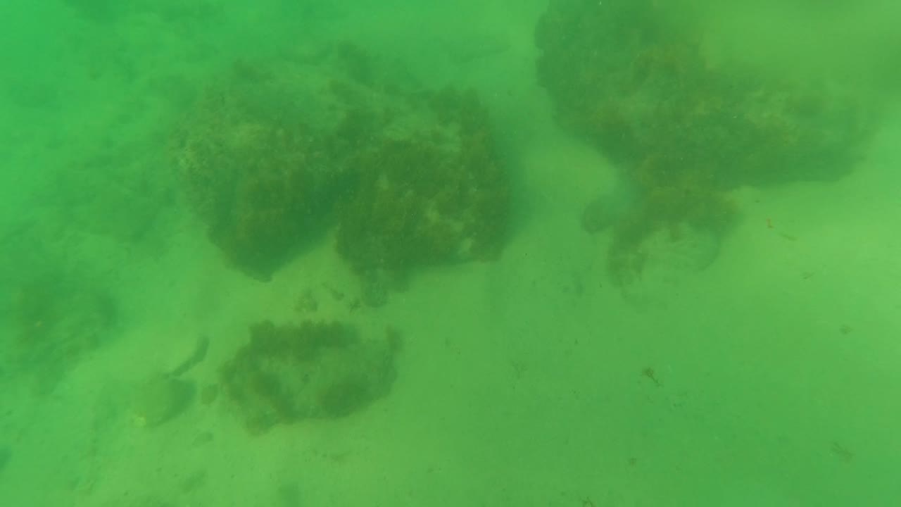 Los Barriles underwater view with a sandy bottom, scattered rock forms, faint small fish shapes near the seabed, and no visible people.