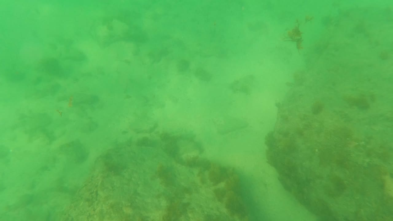 Green underwater view with sand, rocks, and darker seabed patches.