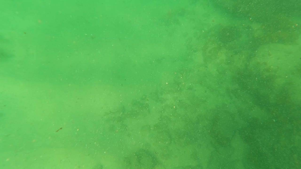 Green underwater view of sandy seabed with darker rock patches.