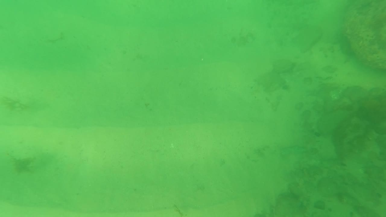 Early frame from Los Barriles, Baja California Sur, with a faint camouflaged flatfish shape near the sandy bottom under green water and no visible people.