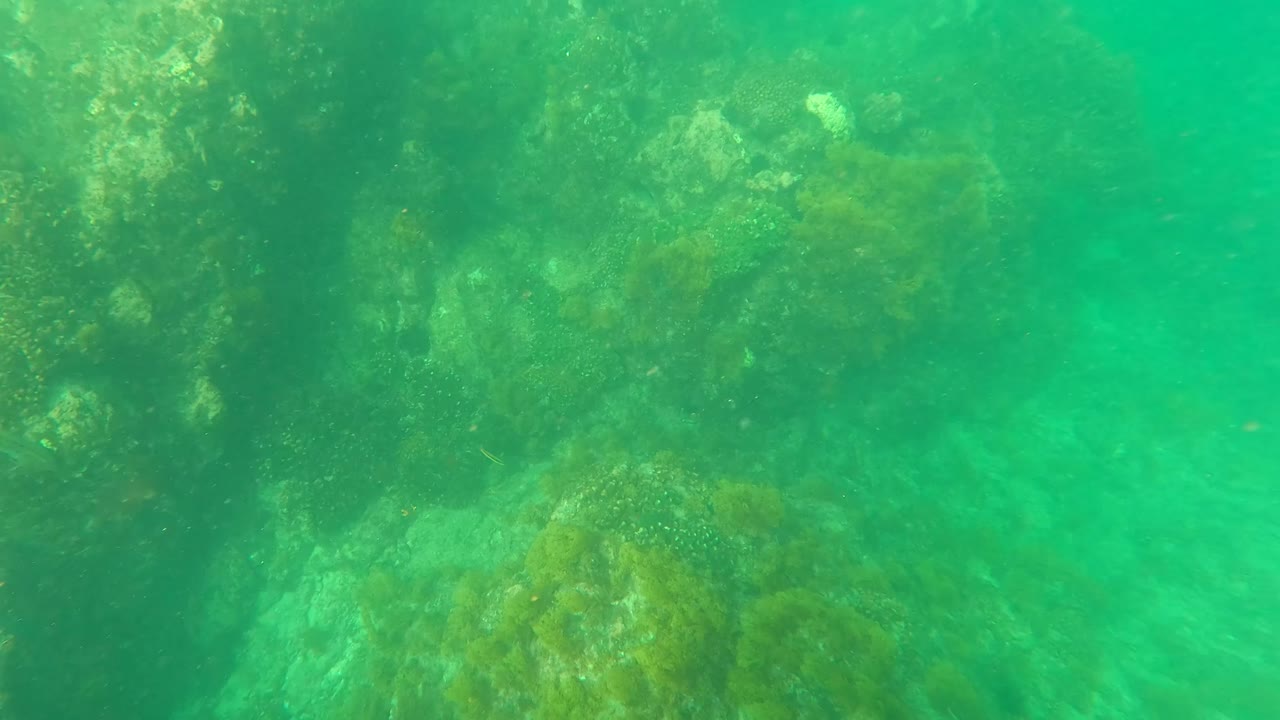 A rocky reef wall and scattered marine growth fill the underwater view in Los Barriles, with turquoise water and no visible people.