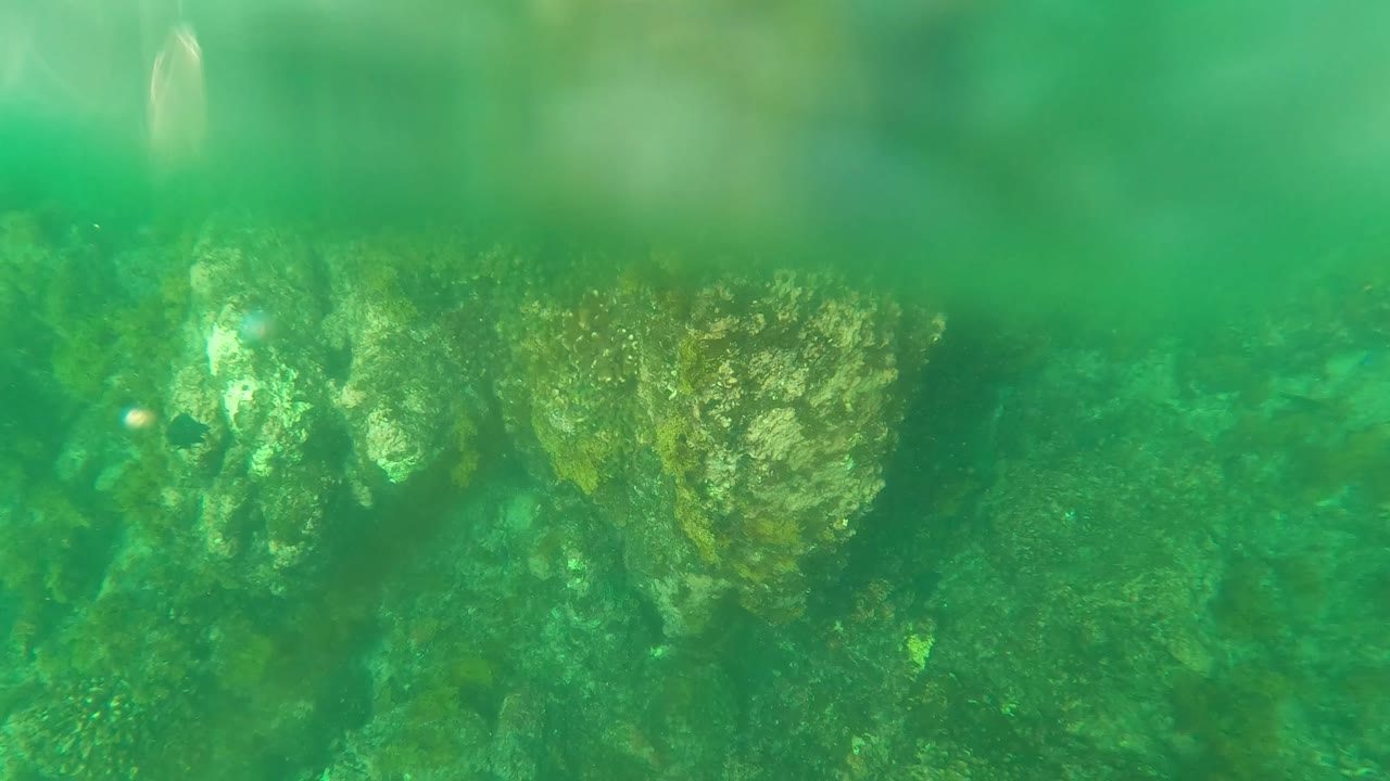 Underwater frame from Los Barriles with rock faces receding into green water and a small fish visible near the center, with no visible people.