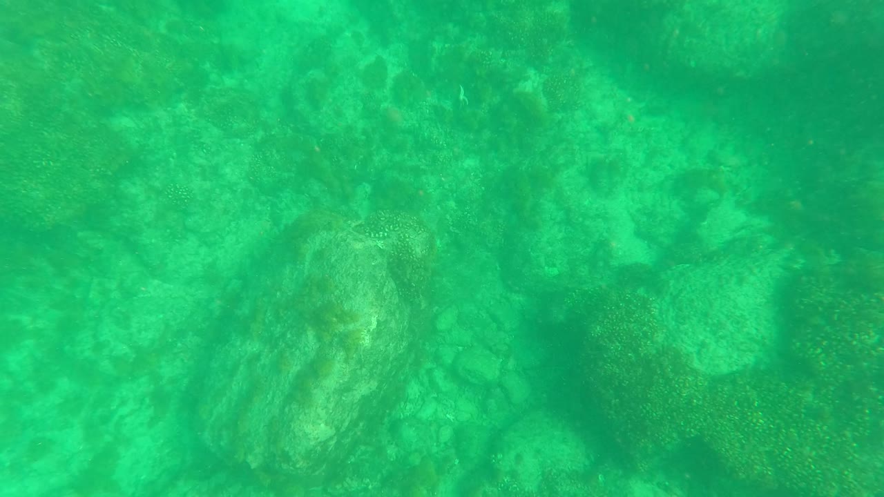 Rocky underwater seabed in clear green water at Los Barriles, Baja California Sur, with pale rocks and no visible people.