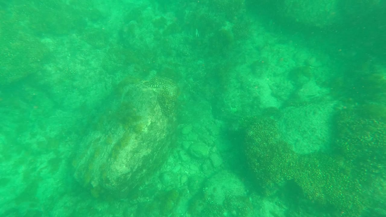 A closer section of the Los Barriles rocky seabed appears through green water, with mottled stone surfaces and no visible people.