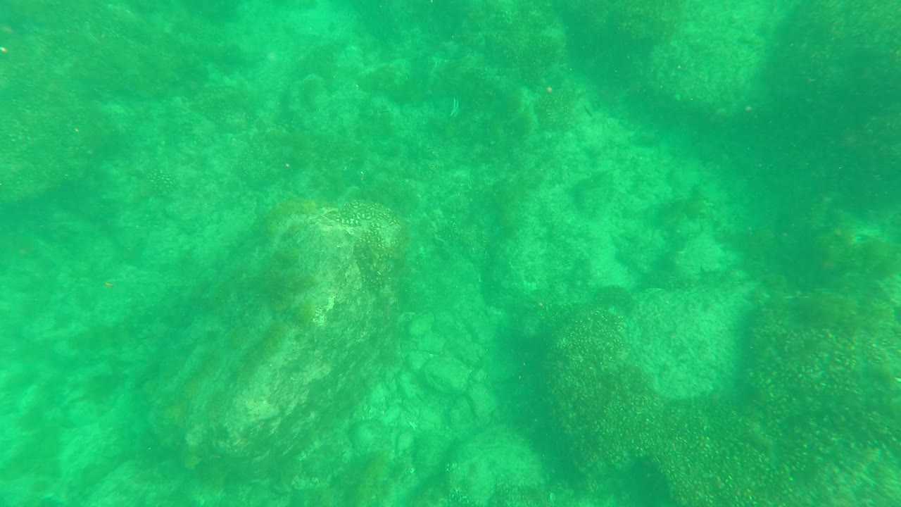 Rock formations fill the underwater frame in Los Barriles, with green water tint, faint sandy patches, and no visible people.
