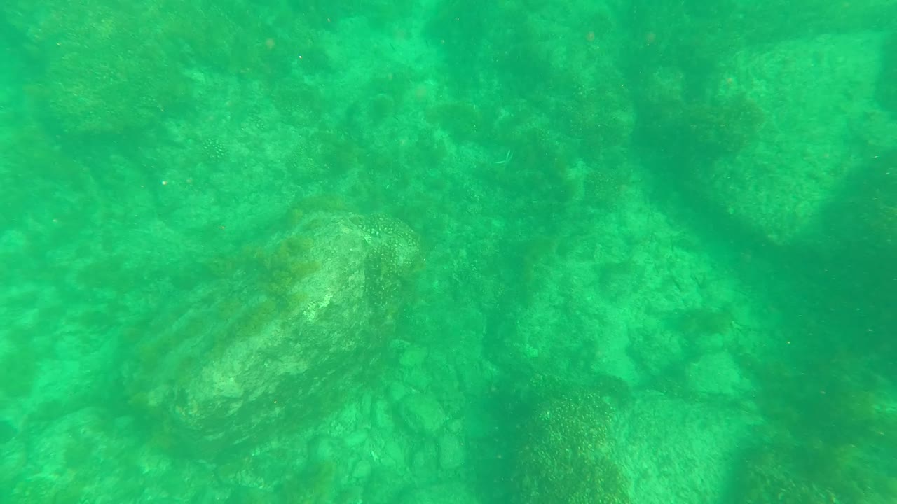 Green underwater view with rocky seabed below.