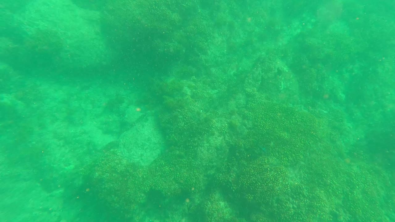 Underwater view in Los Barriles, Baja California Sur with darker rock patches across the seabed and softened coral-like texture, with no visible people.